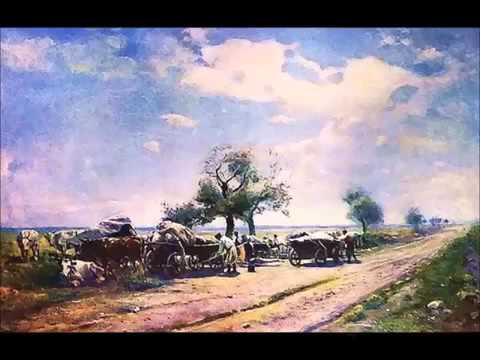 Видео: "Ой горе тій чайці" Тарас Житинський