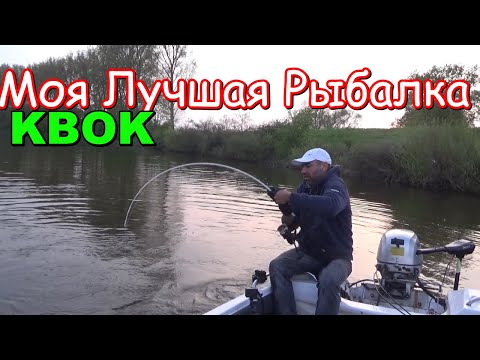 Видео: трофейная рыбалка на сома с квоком. просто рыбалка мечты !!! вечер кобанчиков.