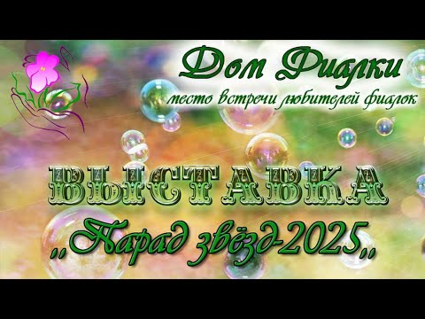 Видео: Обзор совместной выставки "Парад звёзд-2025" в Доме Фиалки, г. Москва