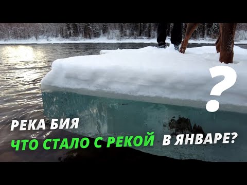 Видео: Река Бия, что стало с рекой в январе?