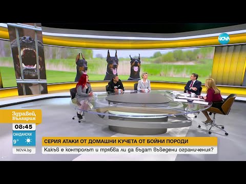 Видео: Пострадали при нападения от питбул настояват за по-строг контрол при отглеждането на бойни породи