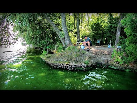 Видео: Спека, весь Дніпровий крупняк зібрався на глибині !!!