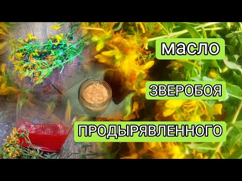 Видео: МАСЛО ЗВЕРОБОЯ. Мощное средство от болей в мышцах. A powerful remedy for muscle pain. #pain #боль