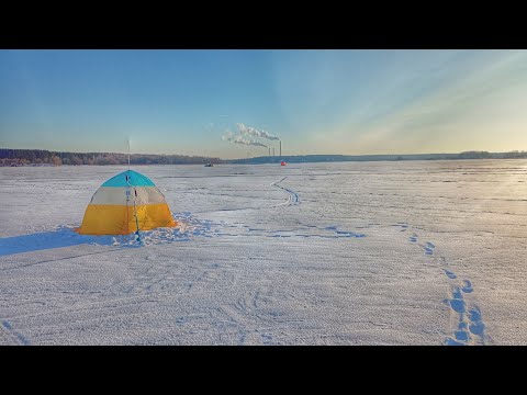 Видео: ЗИМНЯЯ РЫБАЛКА в мороз -20. Плотва. Рыбалка в палатке. Активный клёв. Fishing