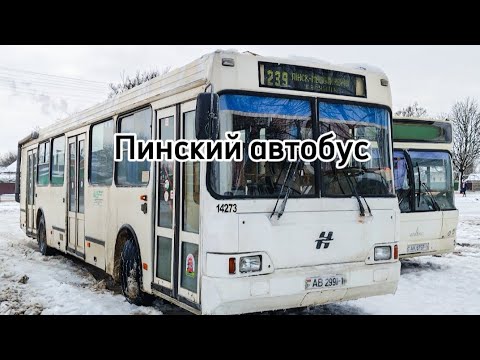 Видео: Пинский автобус в начале января