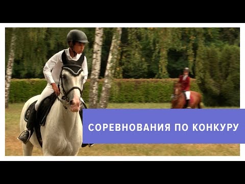 Видео: Конный спорт на Ставрополье снова набирает популярность