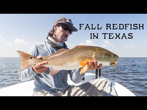 Видео: Осенний окунь в Техасе