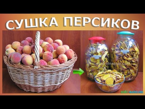 Видео: Сушка персиков — 10 кг.