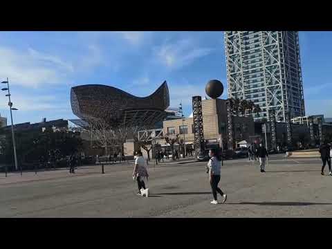 Видео: Велопрогулка по Барселоне