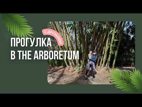 Видео: Прекрасный день в музее с подругами  в Лос Анджелесе