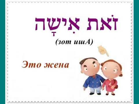 Видео: Урок № 9.  Человек как семейная единица