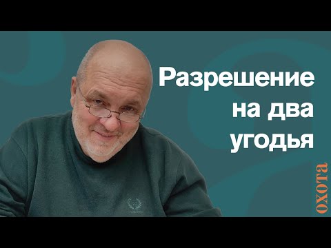 Видео: Пограничное разрешение. Валерий Кузенков о разрешениях на охоту в двух пограничных охотугодьях.