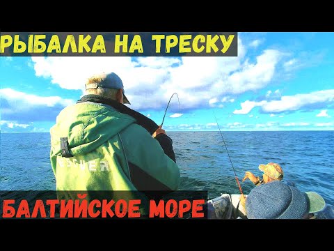 Видео: МОРСКАЯ ТРЕСКА АТАКУЕТ! КАЙФУЕМ ПРО МАКСИМУМУ Рыбалка в Балтийском море.