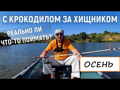 Видео: БЮДЖЕТНЫЙ СПИННИНГ! ЛОВЛЯ ХИЩНИКА НА КРОКОДИЛ. РЕАЛЬНО ЛИ ЧТО-ТО ПОЙМАТЬ?
