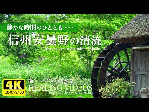 Видео: Исцеляющая фоновая музыка и свежий зеленый чистый поток Shinshu Azumino 4 часа / тихое время ...
