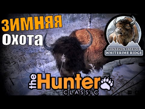 Видео: Добыл 6  Бизонов И Ешё Много Трофеев The Hunter Classic