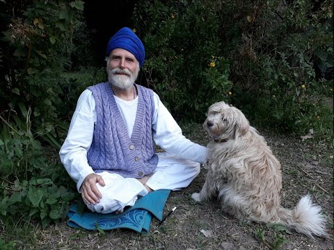 Видео: Амарпал Сингх. Спокойствие.