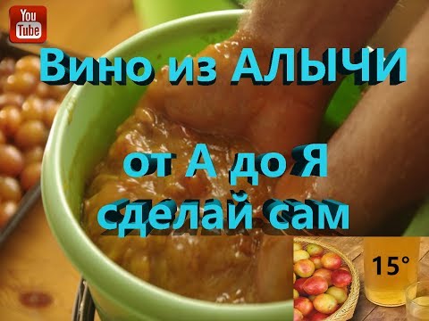 Видео: Вино из алычи  Как сделать вино из АЛЫЧИ