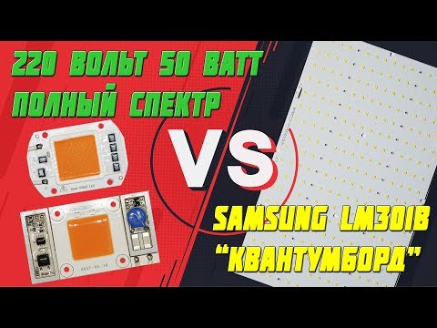 Видео: Какую фитолампу купить: сравниваем Quantum Board и матрицу 50 Вт 220 вольт?