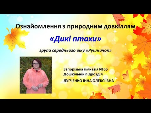 Видео: Заняття 31. Дикі птахи. Ознайомлення з природним довкіллям.