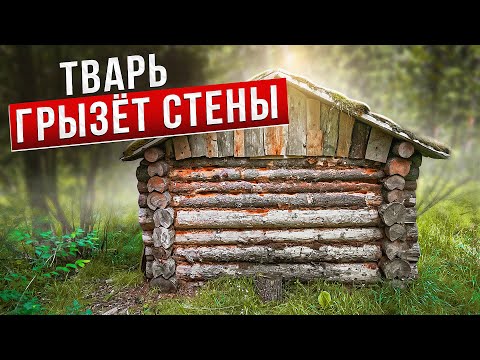 Видео: ДОМ В ЛЕСУ. КТО ЗАЖИВО СЪЕДАЕТ ИЗБУШКУ. ПОХОД В ЛЕС