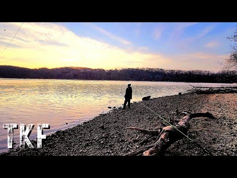 Видео: Простое руководство по поиску мест для ловли сома на отмелях