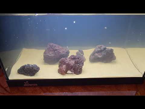 Видео: Наташа сошла с ума?! Ещё один аквариум