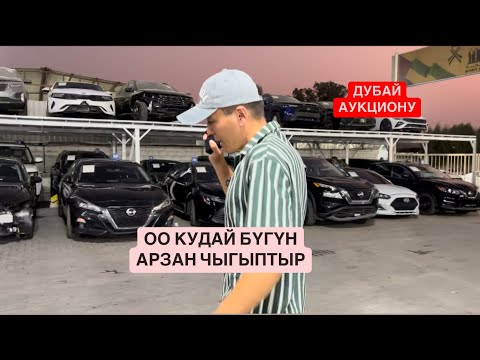Видео: Арзан унаалар Дубайдабы? Өмүрбек Абдыкалыков +996555191131 ватсап