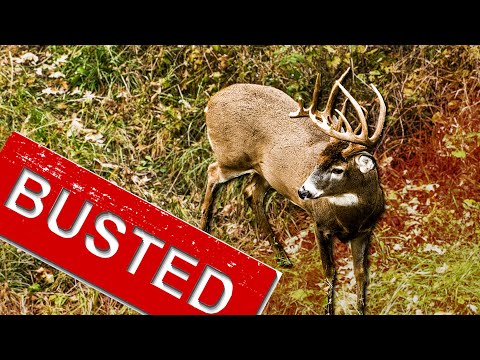 Видео: 5 мифов об охоте на оленей (в которые нельзя верить!!!)