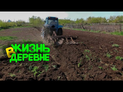 Видео: Закрытие огородного сезона