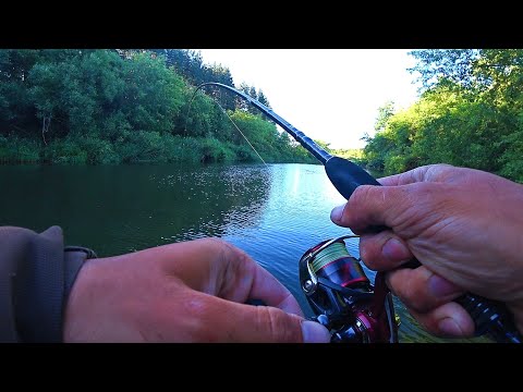 Видео: СПИННИНГ СВЕРНУЛСЯ В ДУГУ ОТ ЭТИХ ЩУК! СКАЗОЧНАЯ ПРИРОДА! Рыбалка на спиннинг 2024.
