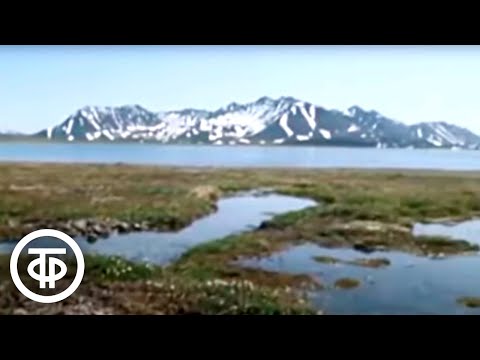 Видео: Семен Дежнев. По следам великих открытий. Фильм 6 (1981)