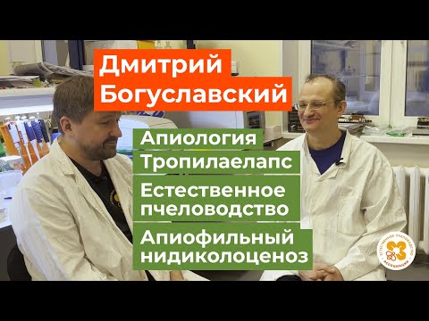 Видео: Апиология и пчеловодство. Интервью с Дмитрием Богуславским.