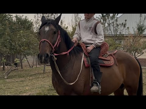 Видео: Чекирлер чыкты +996-559-454-410 28 октября 2025 г.