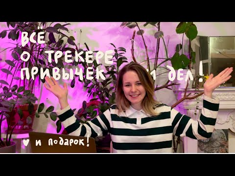 Видео: как всё успевать? ✶ система планирования ✶ трекер дел и привычек