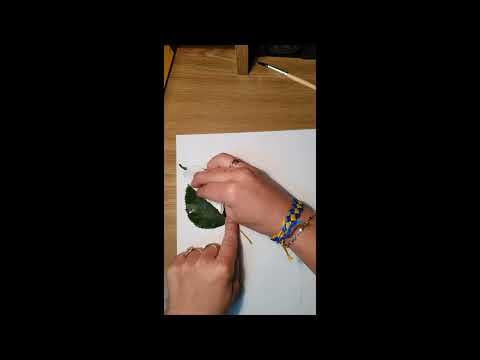 Видео: Малювання листочками (штампування)