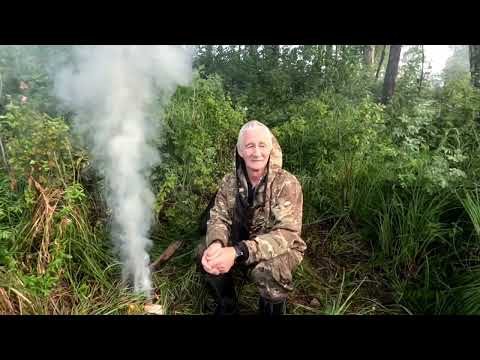 Видео: Хотел гальянов , а наловил карасей. Повезло.