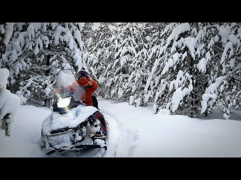 Видео: Sharmax sn-550 отвези нас в лес. Сезон 2021