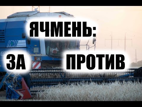 Видео: Почему ячмень лучше пшеницы? Уборка позднего ячменя. Кому кепка Джон Дир