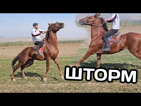 Видео: ШТОРМ УРМАТТА