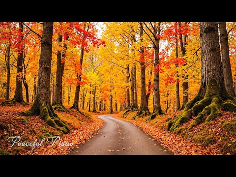 Видео: Красивая расслабляющая музыка 🍁 Перестаньте слишком много думать, музыка для снятия стресса с осенн