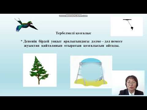 Видео: 9 сынып. Тербелмелі қозғалыс.