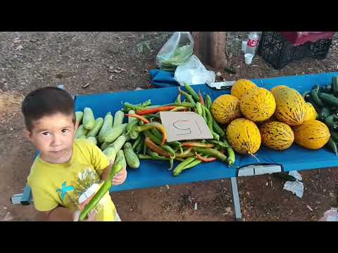Видео: Был на блошином рынке, Анталия 
