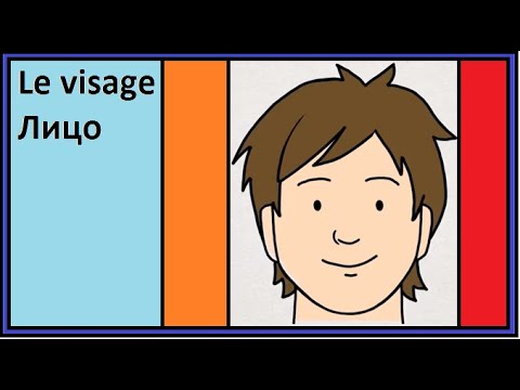 Видео: Le visage - Лицо - Французско-русский визуальный словарь