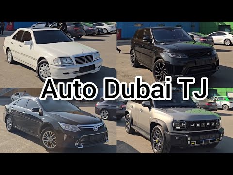 Видео: 🚘Модель MERCEDES BENZ/ZOTE T700/JETOUR T2/RANGE ROVER/BMW F30/TOYOTA AVAION/BYD SON PLUS/LEXUS ES 30