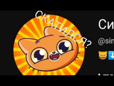 Видео: Симба скатился.....