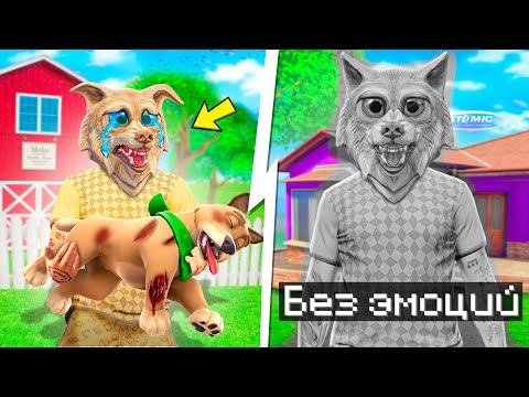 Видео: ФЛЕЙЗИН 100% ОСТАЛСЯ БЕЗ ЭМОЦИЙ В ГТА 5 ! МОЯ СОБАКА УМЕРЛА В GTA 5 !