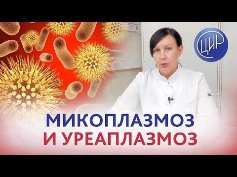 Видео: Микоплазма и уреаплазма. Лечить или не лечить микоплазмоз и уреаплазмоз, выявленные при беременности