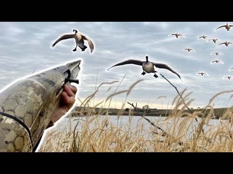 Видео: Farm Pond 6 Man LIMIT на открывателе NEBRASKA GOOSE