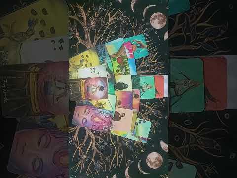 Видео: Он просит: "Поговори со мной" 🥹🥹🥹